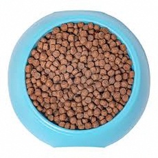 Premium Dry Dog Food